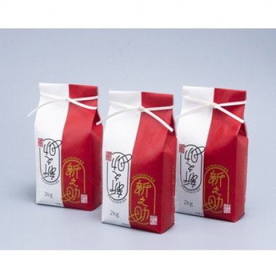 【毎月定期便】新潟県岩船産　新之助 6kg(精米2kg×3個セット)全12回