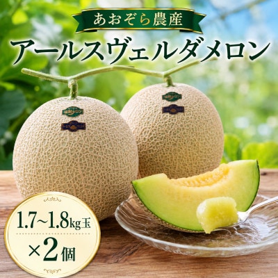 数量限定【8月下旬発送】季節限定!甘～い あおぞら農産「アールスヴェルダメロン」A4107