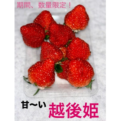 【数量限定!】あおぞら農産「越後姫いちご」 15個入り2パック　A4108