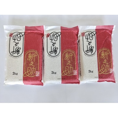 【新米受付・令和7年産米】【真空パック】新潟ブランド米・新之助精米6kg(2kg×3袋)NA4220