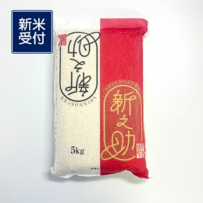 【新米受付・令和7年産米】【真空パック】新潟ブランド米・新之助　精米 5kg 1054001N