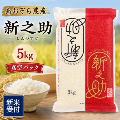 【新米受付・令和8年産米】【真空パック】新潟ブランド米・新之助　精米 5kg 1054001N