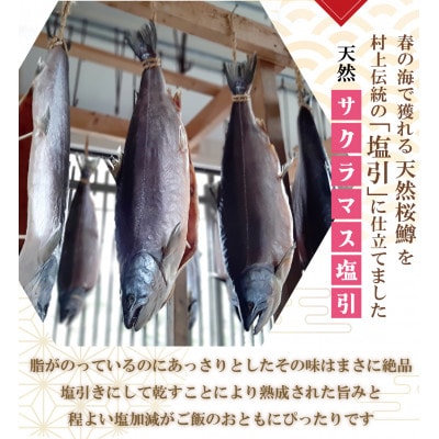 【数量限定】越後村上うおや 天然サクラマスの塩引き 切り身 10切(約650g～700g)