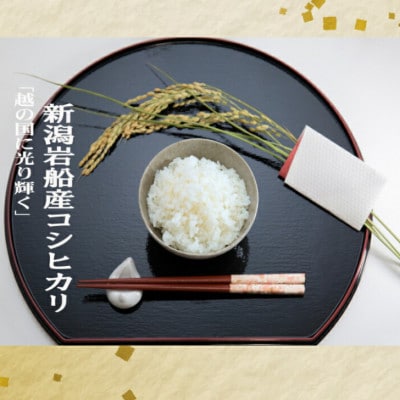 【令和6年産米】にいがた岩船産コシヒカリ(神林産地)5kg A4134