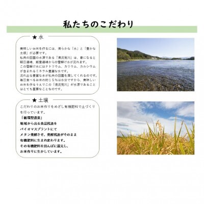 【令和6年産米】にいがた岩船産コシヒカリ(神林産地)5kg A4134