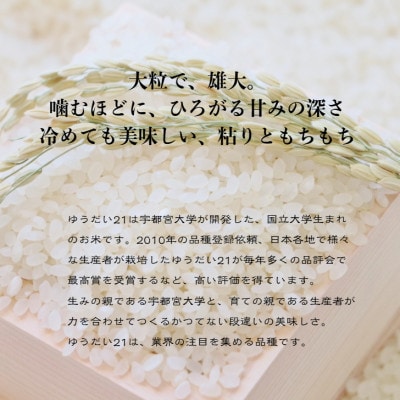 【新米受付・令和8年産米】新潟県村上市 岩船産 ゆうだい21 (神林産地)5kg　1059001N
