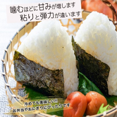 【新米受付・令和8年産米】新潟県村上市 岩船産 ゆうだい21 (神林産地)5kg　1059001N