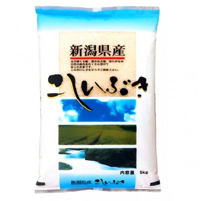 【令和8年産米】新潟県村上市 岩船産 こしいぶき(精米)5kg　1059002