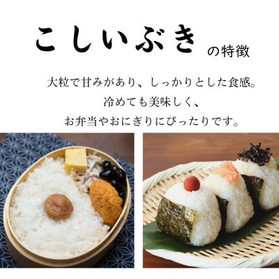 【令和8年産米】新潟県村上市 岩船産 こしいぶき(精米)5kg　1059002