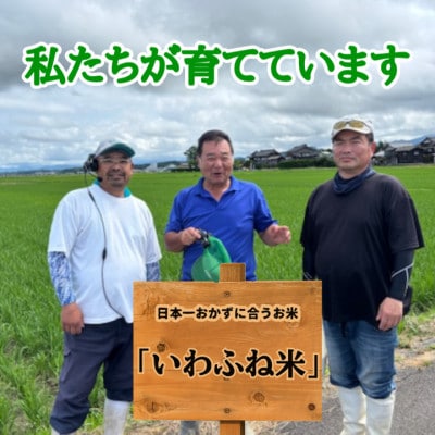 【令和8年産米】新潟県村上市 岩船産 こしいぶき(精米)5kg　1059002