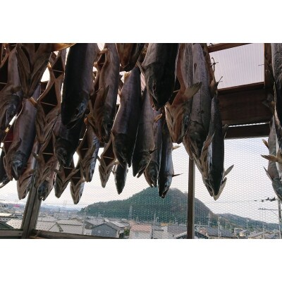 「伝統の鮭料理」鮭の酒びたし 2箱セット 1074011