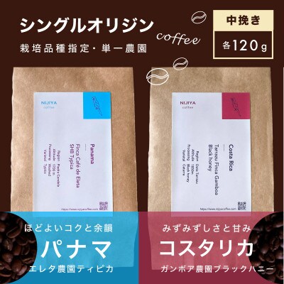 【村上の自家焙煎 シングルオリジンコーヒー 厳選農園2種】各120g / 浅煎り〜中煎り【中挽き】