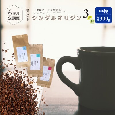 【毎月定期便】シングルオリジンコーヒー 100g×3品種(中挽き)計300g 1075016全6回