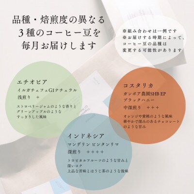【毎月定期便】高品質シングルオリジンコーヒー・ドリップバッグ3種セット (1袋11個×3品種)全3回