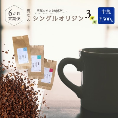 【毎月定期便】シングルオリジンコーヒー100g×3品種(中挽き)計300g　1075028 全6回