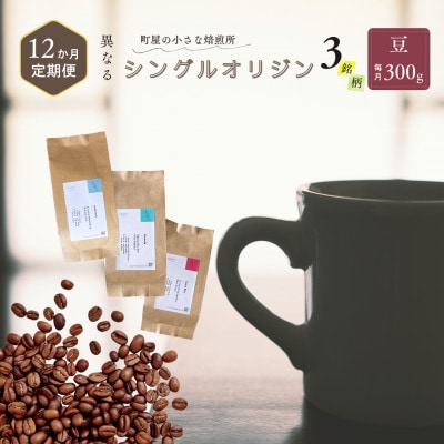 【毎月定期便】シングルオリジンコーヒー100g×3品種(豆)計300g　1075026 全12回