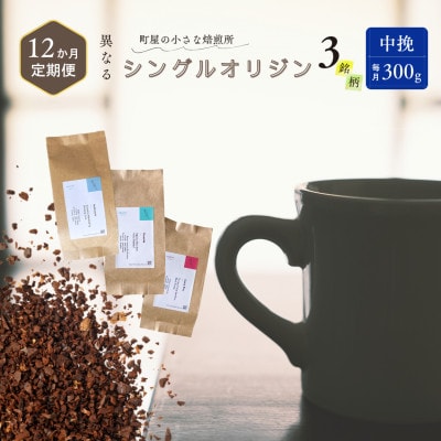 【毎月定期便】シングルオリジンコーヒー100g×3品種(中挽き)計300g　1075029 全12回