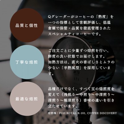 【毎月定期便】シングルオリジンコーヒー100g×3品種(中挽き)計300g　1075029 全12回