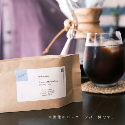 【毎月定期便】シングルオリジンコーヒー100g×3品種(豆)計300g　1075024 全3回