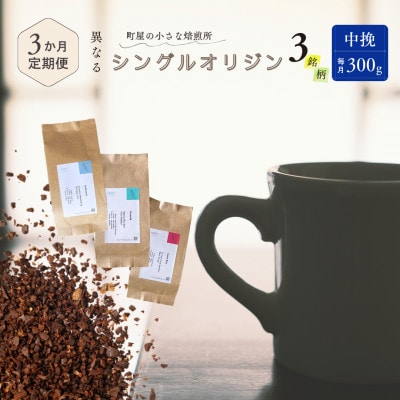 【毎月定期便】シングルオリジンコーヒー100g×3品種(中挽き)計300g　1075027 全3回