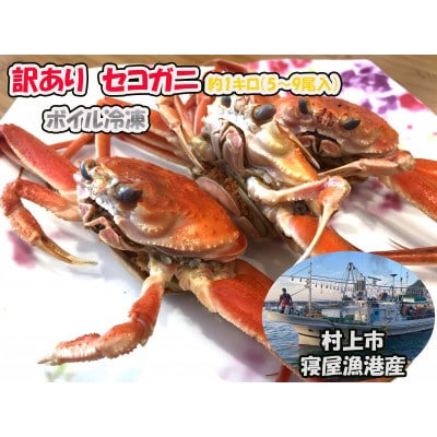【数量・期間限定】【訳あり】新潟県村上市寝屋漁港産　セコガニ 約1kg(5～9尾入)C4088