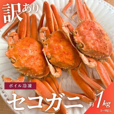 【数量・期間限定】【訳あり】新潟県村上市寝屋漁港産　セコガニ 約1kg(5～9尾入)C4088