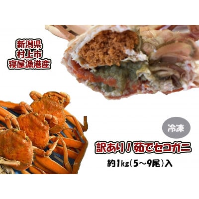 【数量・期間限定】【訳あり】新潟県村上市寝屋漁港産　セコガニ 約1kg(5～9尾入)C4088