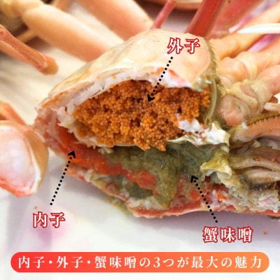 【数量・期間限定】【訳あり】新潟県村上市寝屋漁港産　セコガニ 約1kg(5～9尾入)C4088