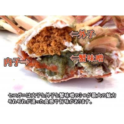 【数量・期間限定】【訳あり】新潟県村上市寝屋漁港産　セコガニ 約1kg(5～9尾入)C4088