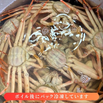 【数量・期間限定】【訳あり】新潟県村上市寝屋漁港産　セコガニ 約1kg(5～9尾入)C4088