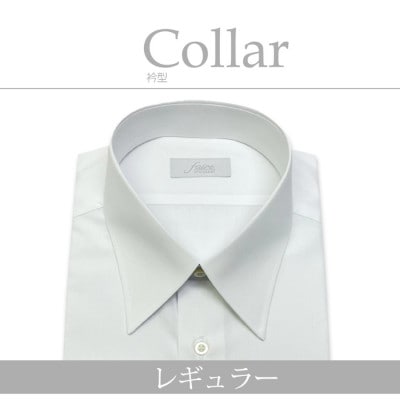 【形態安定】ケアも簡単!綿ポリ混紡メンズ用ドレスシャツ「3Lサイズ」衿型レギュラー 1080017