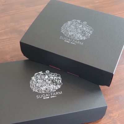 【数量限定】大粒いちご「越後姫」贈答用 12～15粒 約450g　新潟ブランド品　1081005