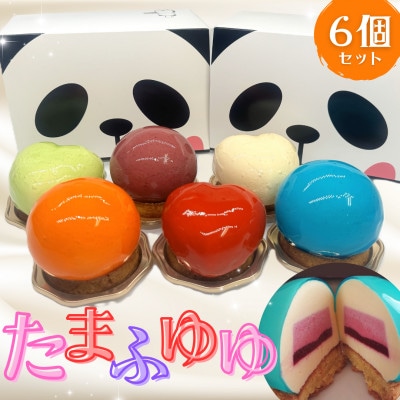 たまふゆゆ　ケーキ6個セット【魅惑の球体・SNSで話題!】1089003