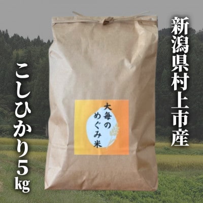 【令和7年産米】精米　新潟県村上市産　コシヒカリ「大毎のめぐみ米」5kg　1093003
