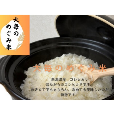【令和6年産米】精米　新潟県村上市産　コシヒカリ「大毎のめぐみ米」5kg　1093003