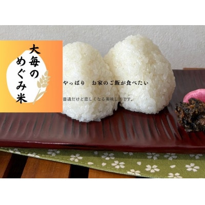 【令和6年産米】精米　新潟県村上市産　コシヒカリ「大毎のめぐみ米」5kg　1093003