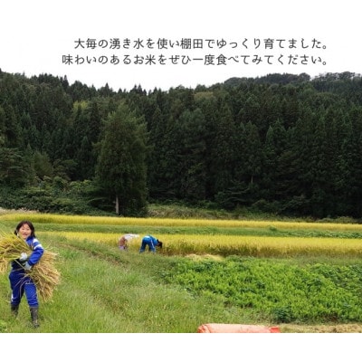 【令和6年産米】精米　新潟県村上市産　コシヒカリ「大毎のめぐみ米」5kg　1093003