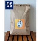 【新米受付・令和7年産米】精米　新潟県村上市産　コシヒカリ「大毎のめぐみ米」5kg　1093003N