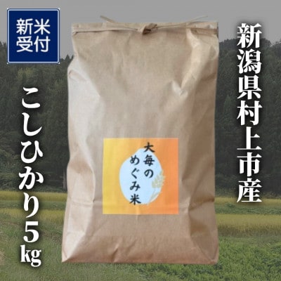 【新米受付・令和8年産米】精米　新潟県村上市産　コシヒカリ「大毎のめぐみ米」5kg　1093003N