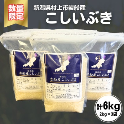 【数量限定】【令和6年産米】新潟県村上市岩船産 こしいぶき 精米6kg　1099001