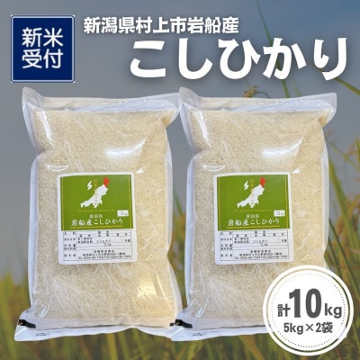 【新米受付・令和8年産米】新潟県村上市岩船産 コシヒカリ10kg(5kg×2袋)1099014N