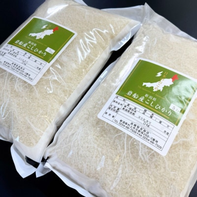 【新米受付・令和8年産米】新潟県村上市岩船産 コシヒカリ10kg(5kg×2袋)1099014N
