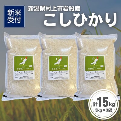 【新米受付・令和8年産米】新潟県村上市岩船産 コシヒカリ15kg(5kg×3袋)1099015N