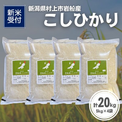 【新米受付・令和8年産米】新潟県村上市岩船産 コシヒカリ20kg(5kg×4袋)1099016N
