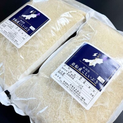 【新米受付・令和8年産米】新潟県村上市岩船産 こしいぶき10kg(5kg×2袋)1099005N