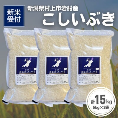 【新米受付・令和8年産米】新潟県村上市岩船産 こしいぶき15kg(5kg×3袋)1099006N