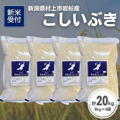 【新米受付・令和8年産米】新潟県村上市岩船産 こしいぶき20kg(5kg×4袋)1099007N