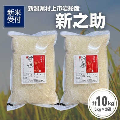 【新米受付・令和8年産米】新潟県村上市岩船産 新之助10kg(5kg×2袋)1099011N