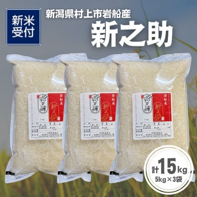 【新米受付・令和8年産米】新潟県村上市岩船産 新之助15kg(5kg×3袋)1099012N
