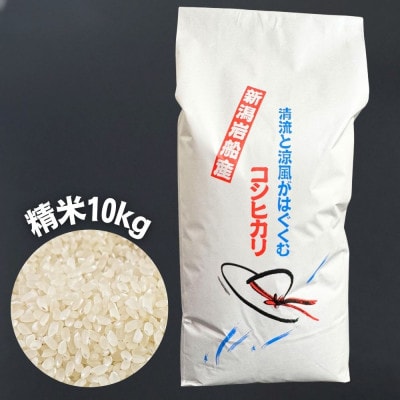 【令和7年産米】新潟県村上市 岩船産コシヒカリ 精米 10kg×1袋　1100001